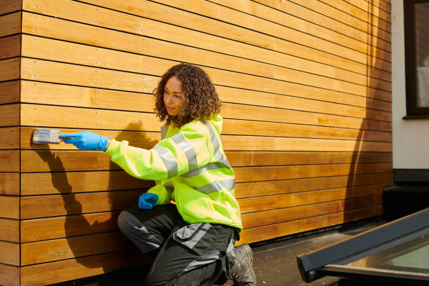 Best Stucco Siding  in Palmhurst, TX